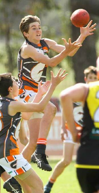 Nathan Wardius made a spectacular debut for the Giants on Saturday.