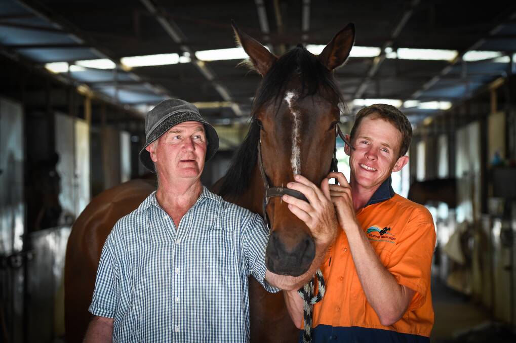 DOWN TO BUSINESS: Peter and Jack Maher with Cha Cha King
ahead of the Wodonga Gold Cup. Picture: MARK JESSER