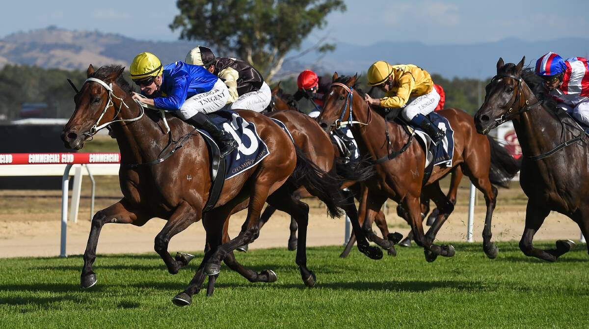 Teo Nugent guides Sky Call to victory on Saturday, with Bennelong Dancer in hot pursuit.
