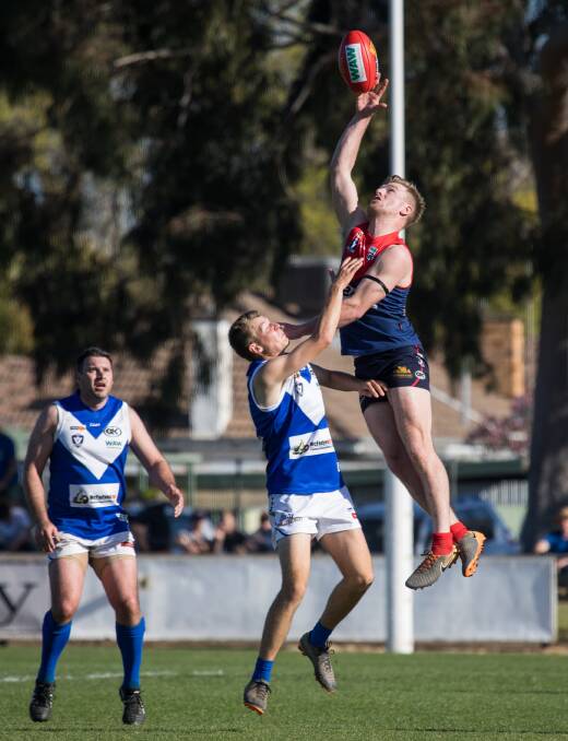 Milawa's Alex Dunstan wins a hit-out in the grand final against Bright. Picture: WANGARATTA CHRONICLE
