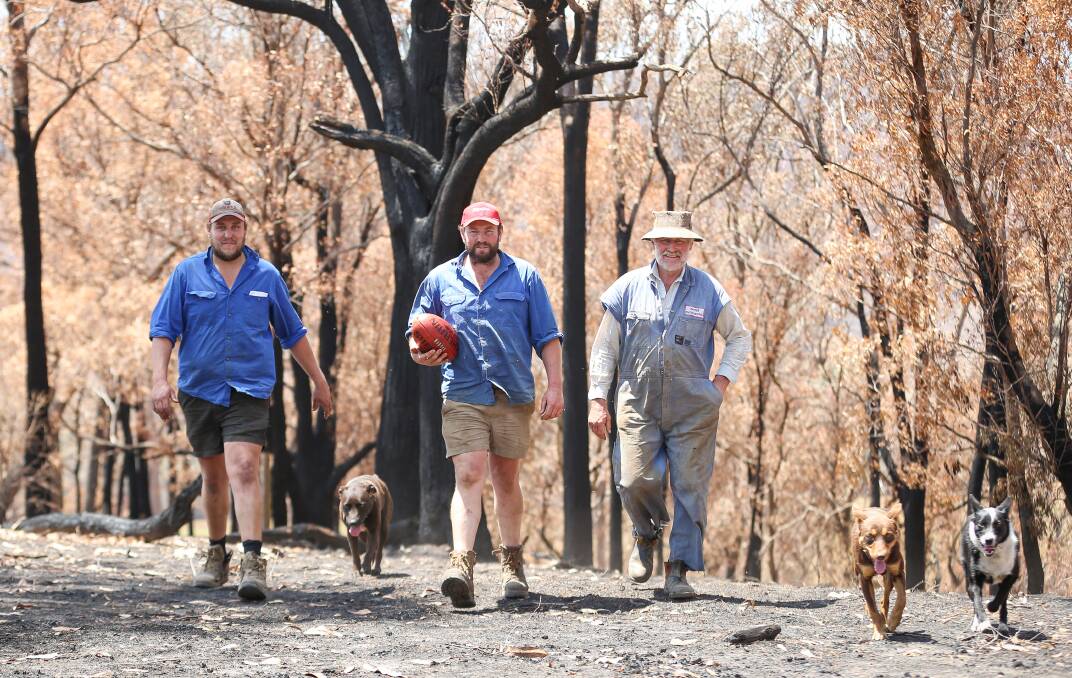 UNITED: The Nicholas family look over some of the damage with their dogs. The dairy was spared by the fire. Pictures: JAMES WILTSHIRE