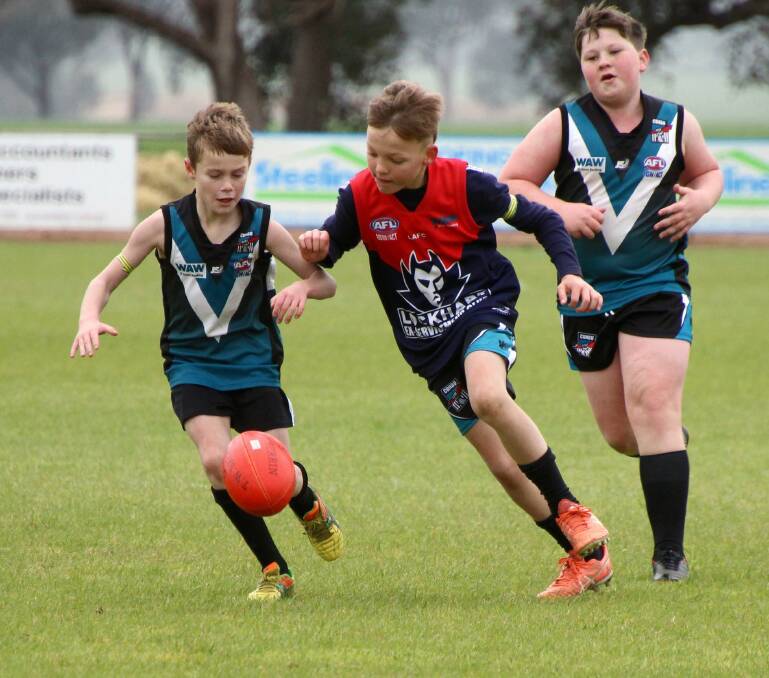 The Hume league has already started looking at options to get a junior competition off the ground this season.