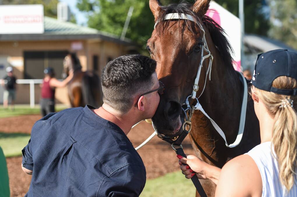Trainer Mitch Beer gives Sky Call a kiss after winning the SDRA Country Championships qualifier at Albury. Sky Call will be given a spell after a bold performance at Randwick last weekend.
