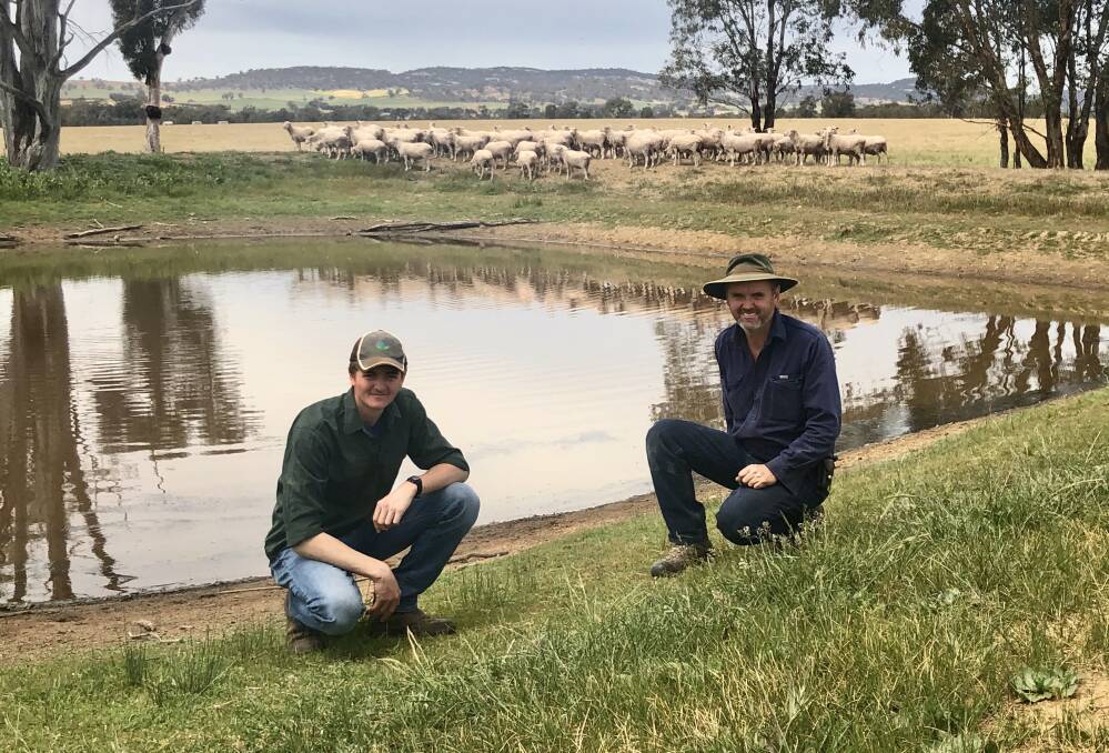 DIVERSIFYING: Peter Rayner and his son Harry have adapted their business to incorporate sheep, starting a Merino flock at the family's Walla Walla property, aptly named Merino Park, to mitigate cropping risks. 