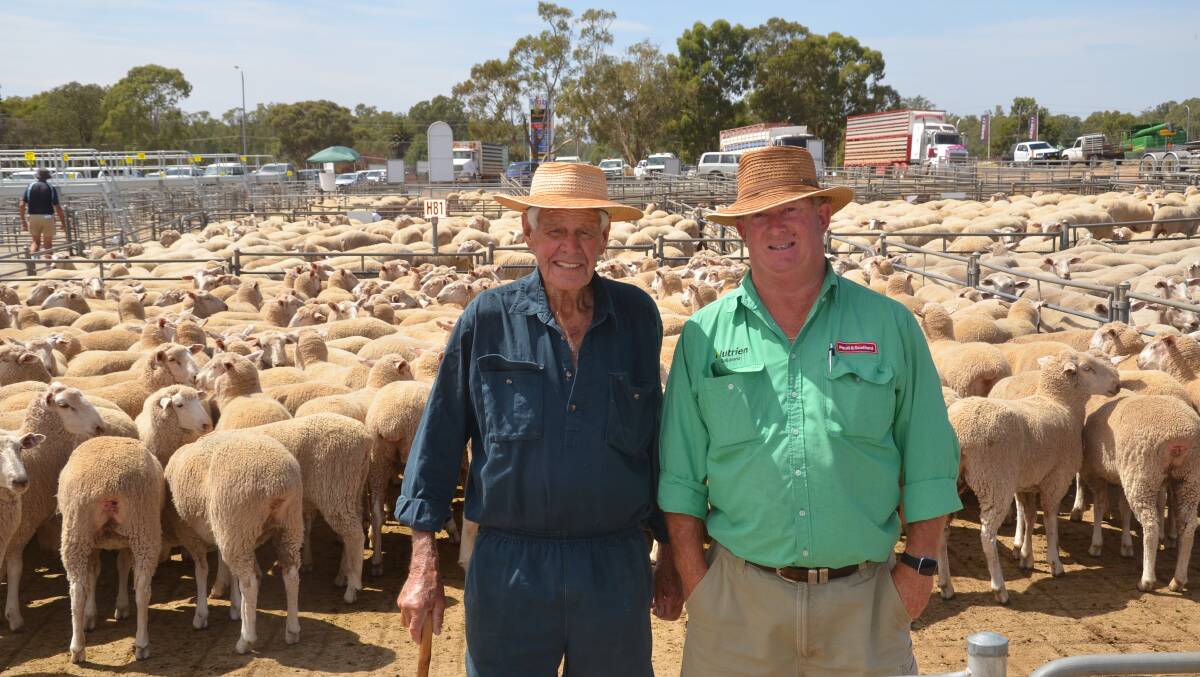 Ian Barber, Macambo Park, Balldale sold 203 Border Leicester cross Merino ewes, April/May 2020-drop, 52kg for $295. His second pen of 116, 47kg, sold for $278. Pictured with agent Richard Wynne, Paull and Scollard Nutrien, Corowa. 