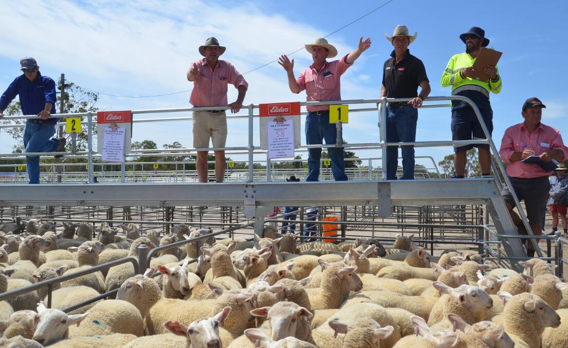 Elders agents selling the seconds from MB and KA Barnes, Nelleona, Hay who offered first cross ewes, June/July 2020-drop. Nelleona's first pen sold for $300, while the seconds made $270. 
