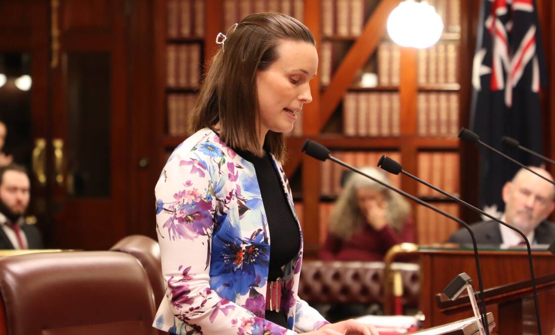 Amanda Cohn has told NSW parliament of frustrations with plans for an upgraded Albury hospital which says will not meet the needs of Border patients.