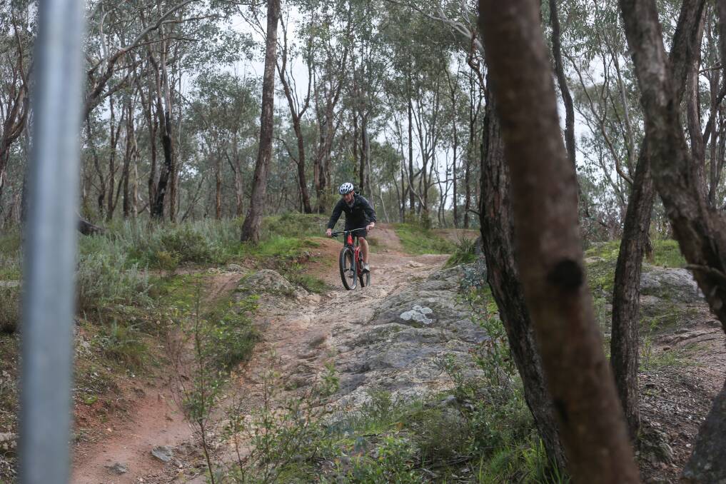 Navigating a pathway: A mountain bike rider takes in the scenery along a Nail Can Hill track not far from Albury's Gap Road on Sunday afternoon. Picture: TARA TREWHELLA 