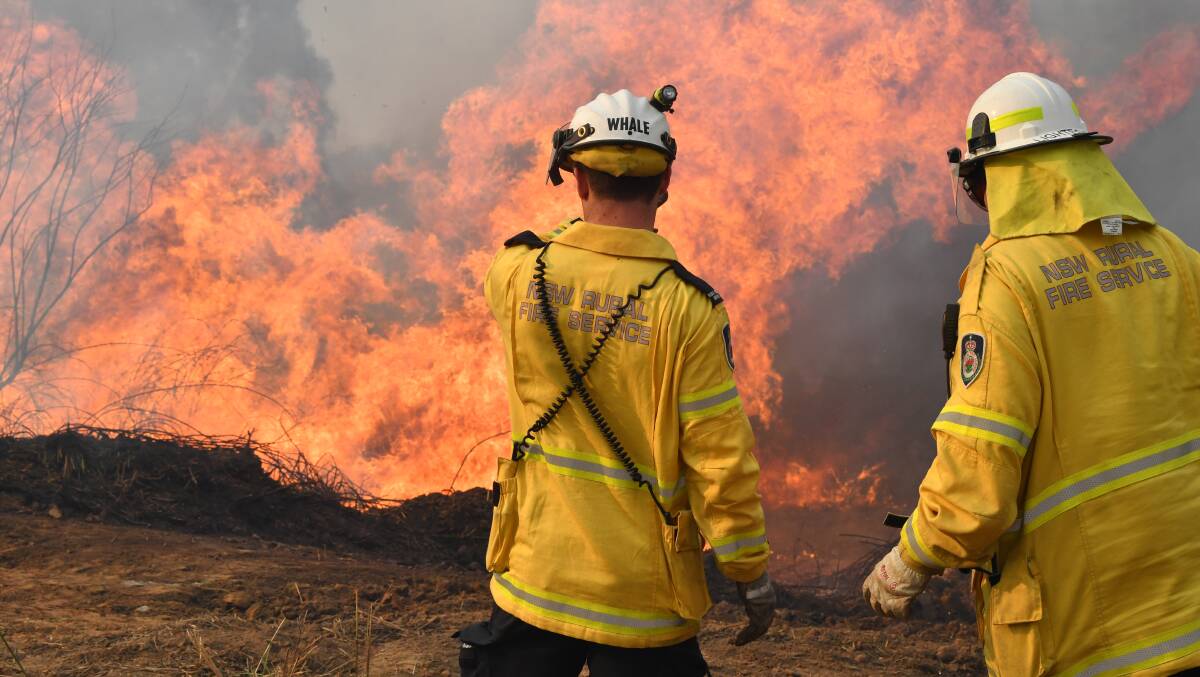 On the front line: Rural Fire Service members eye a wall of flames on Long Gully Road in the Drake district of northern NSW. Southern Riverina colleagues have now joined the operation to quell the flames.