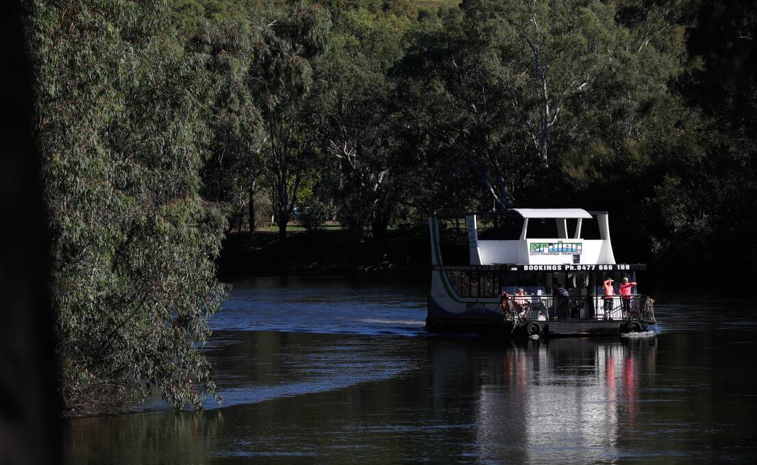 Pleasure trip: The Sienna Daisy takes passengers along the Murray River in Albury in early 2019. Picture: JAMES WILTSHIRE