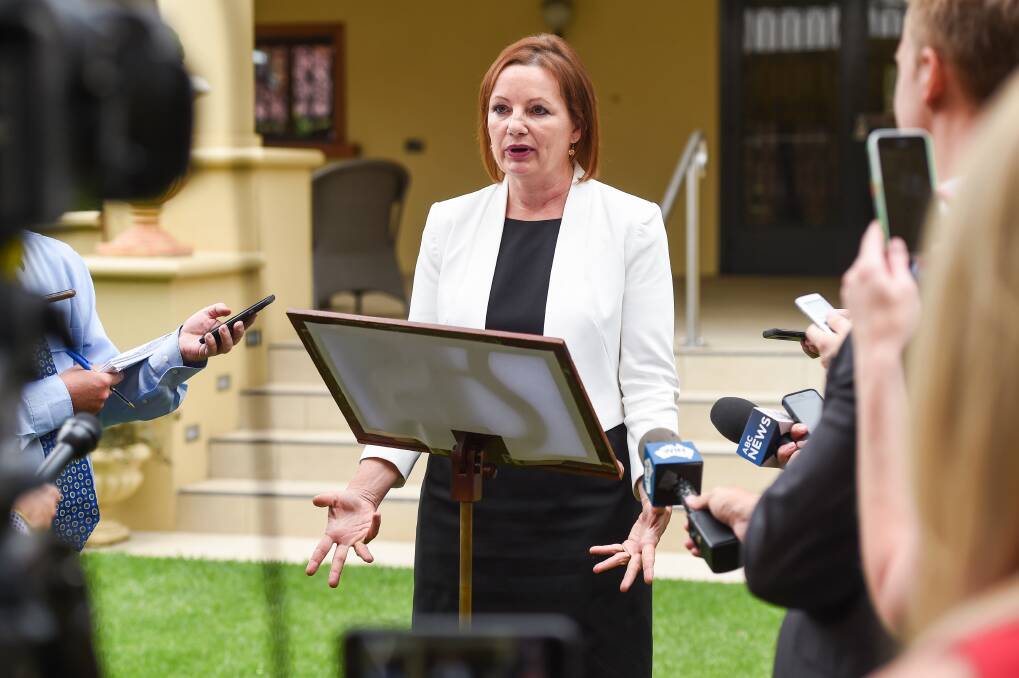 In the spotlight: Sussan Ley faces the media in January last year at the time she announced she would stand aside as health minister while an investigation into her travel expenses unfolded.
