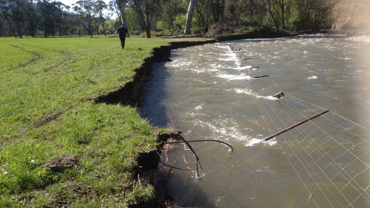 Flashback: The swollen Ovens River in October 2016 pulls down the Baldwins' fence and washes away the land earmarked for a truffle orchard.