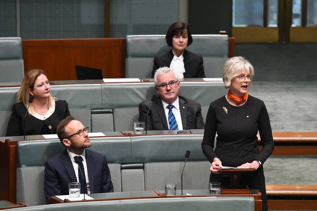 Variety on show: Helen Haines delivers her maiden speech which ranged across the history of Indi, her childhood in south-west Victoria and policy priorities. Picture: MARK JESSER