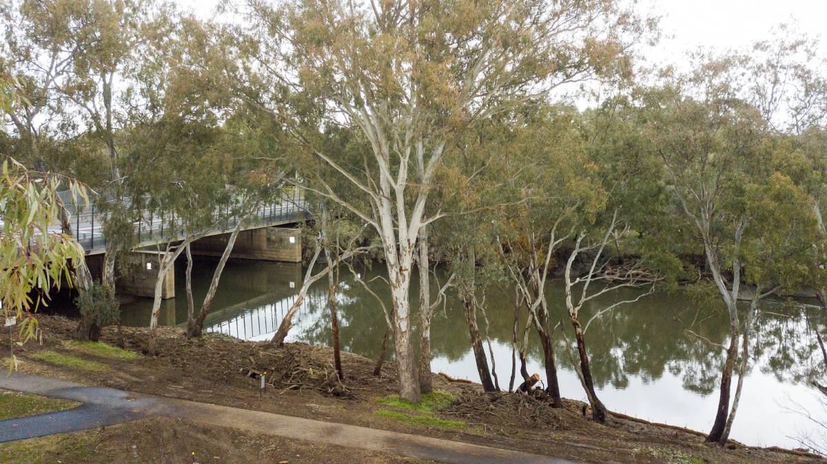 Changed outlook: A more barren bank has emerged after contractors removed trees from the river bank.