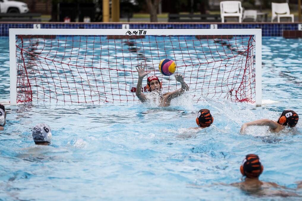 Up in the air: Water polo season on the Border was due to commence later this month, but it is in doubt due to new pool lane fees.