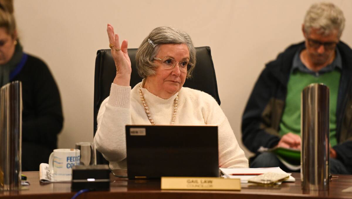 Supportive: Councillor Gail Law raises her hand in support of the council's financial plan. Picture: MARK JESSER
