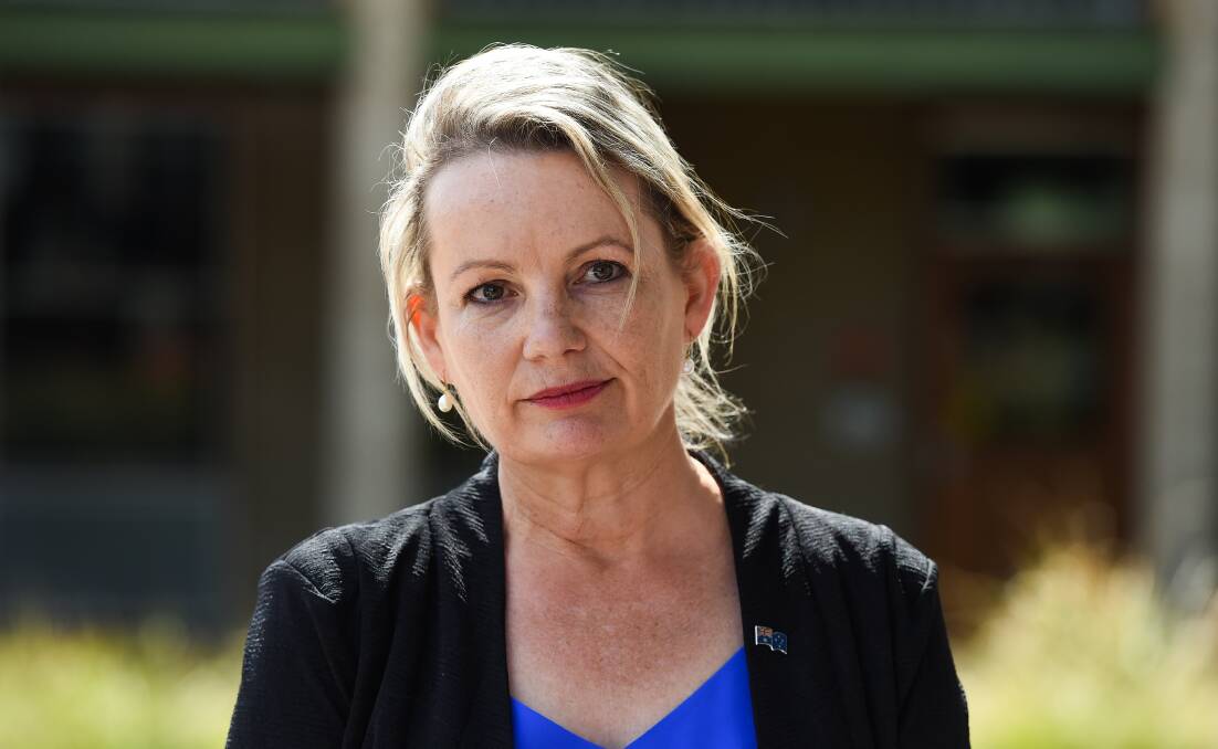 Making a point: Sussan Ley has chosen the experience of Indi voters and the North East train line to argue against voting for Independent rival Kevin Mack in Farrer.