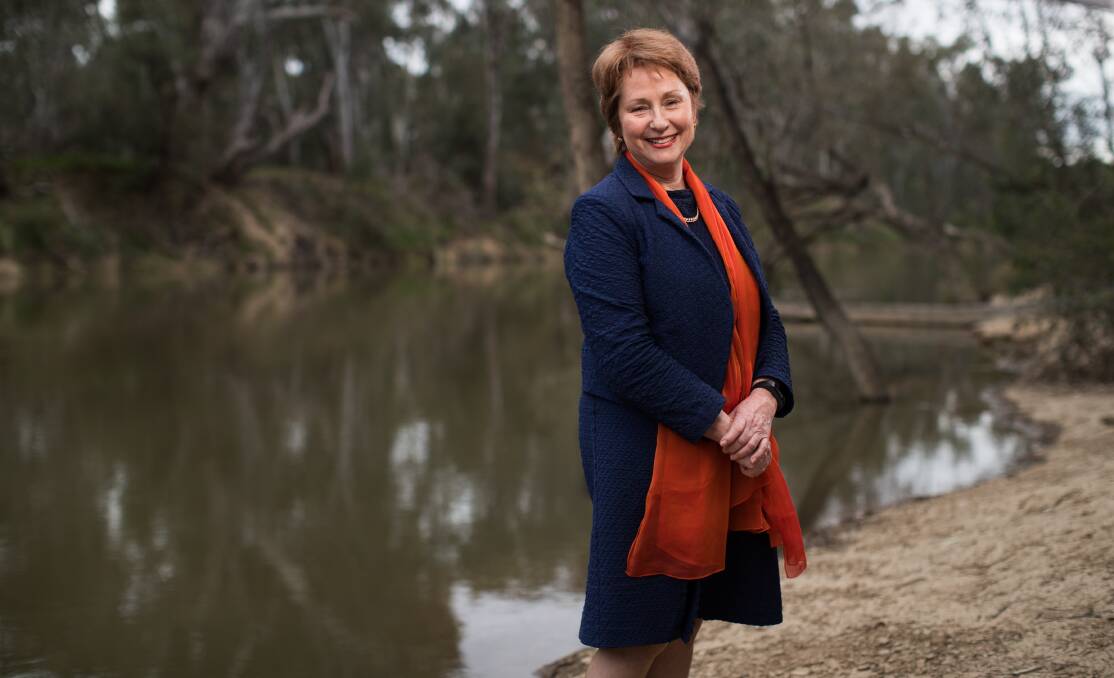 Setting a benchmark: Suzanna Sheed, the member for Shepparton, who spent $100,000 in getting elected in 2014 as the first new independent to enter Victoria's parliament since 1999.