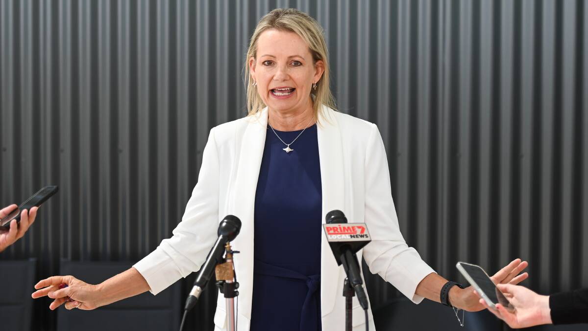 Free to stand: Sussan Ley has had legal uncertainty about her preselection removed following a decision by the NSW Court of Appeal.