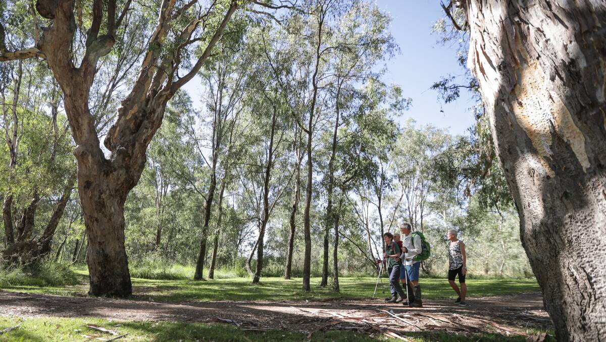 Appealing: Those wanting to escape the lockdown took to Wonga Wetlands and Albury's Wagirra Trail in big numbers throughout April.