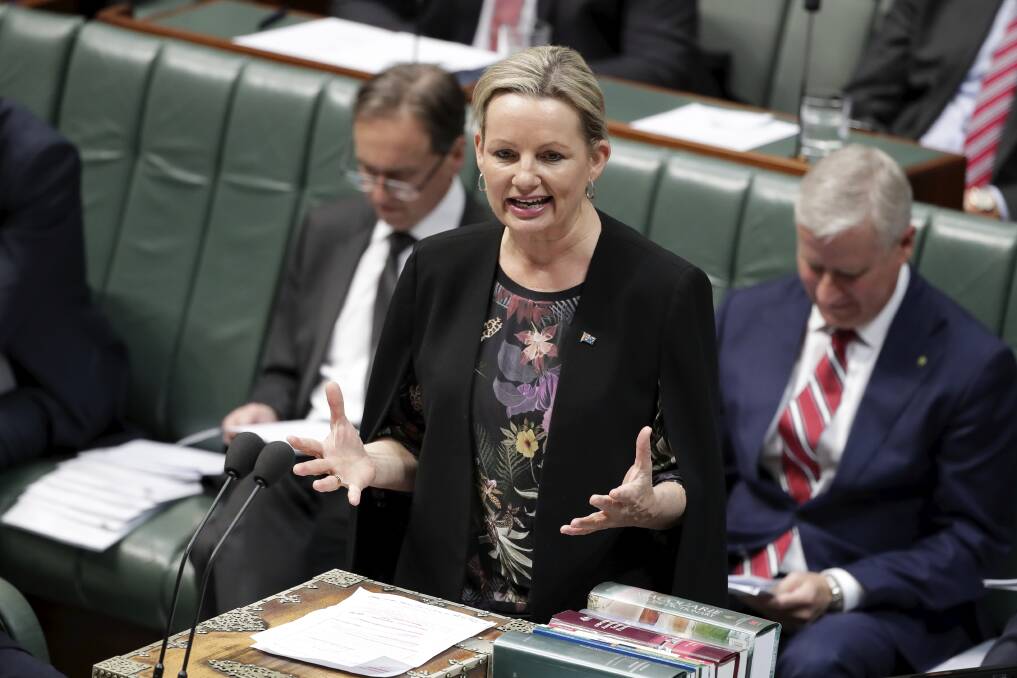 Not impressed: Environment Minister and member for Farrer Sussan Ley has dismissed a motion seeking a climate emergency declaration as opportunistic.