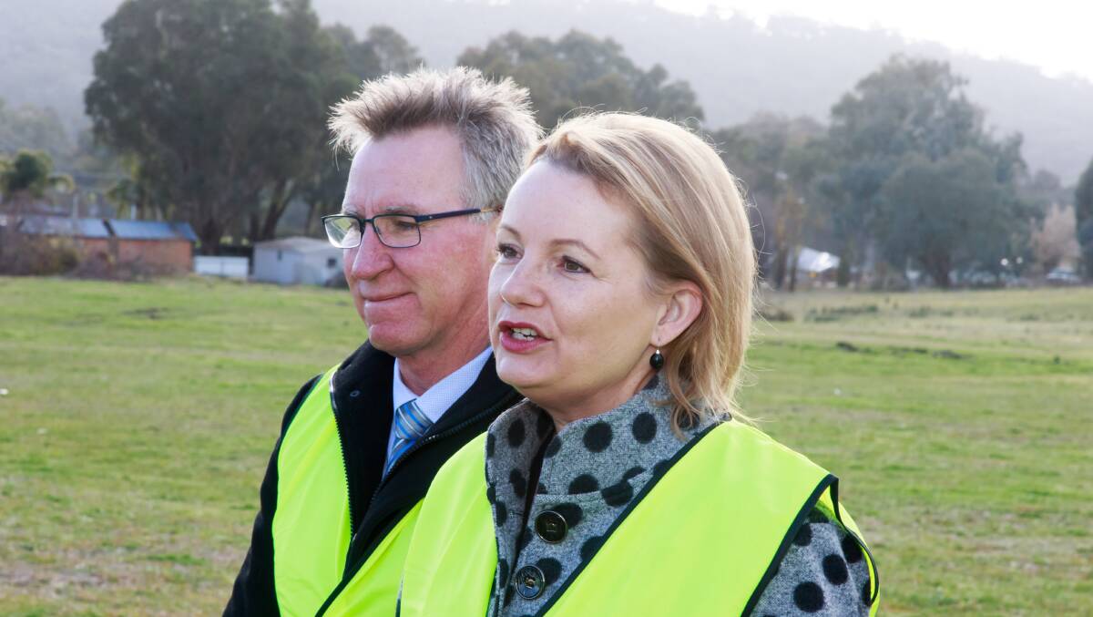At odds: Independent candidate for Farrer Kevin Mack with Liberal incumbent Sussan Ley. The pair disagree over the value of shifting Murray-Darling Basin Authority jobs to the Riverina. 
