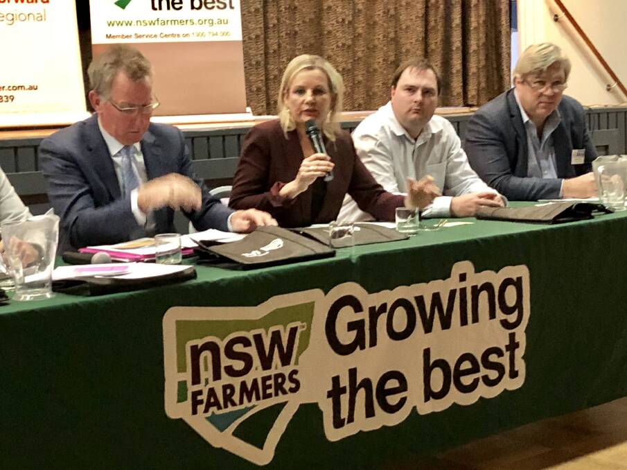 On the mic: Sussan Ley answers a question at the Deniliquin forum, while flanked to her right by Independent Kevin Mack and to her left by Labor candidate Kieran Drabsch and Liberal Democratic Party contender Mark Ellis.
