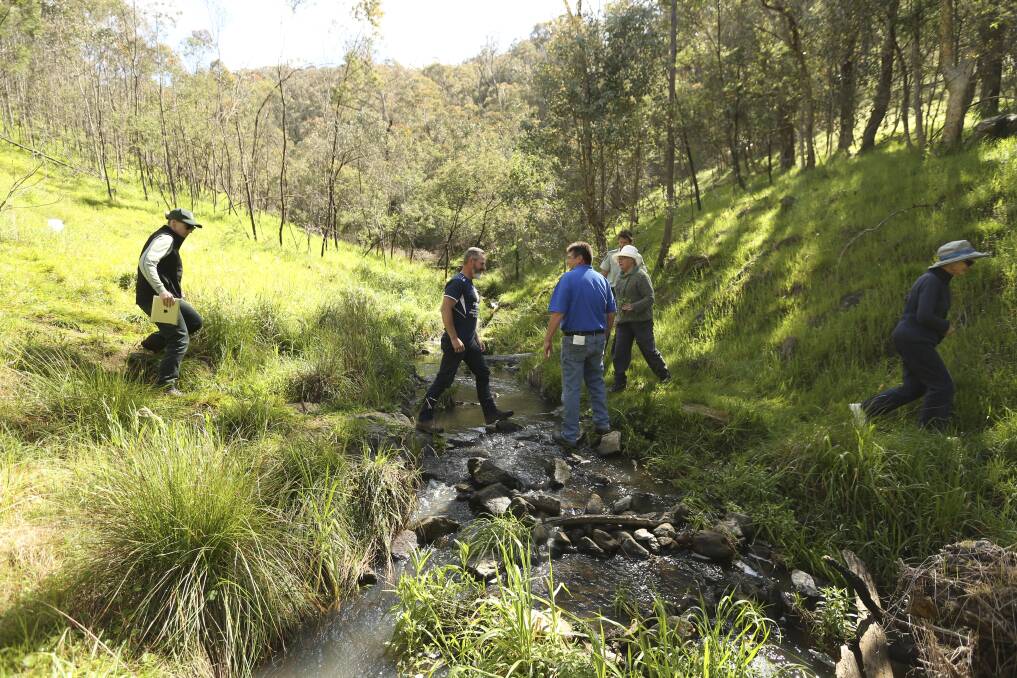 In the great outdoors: Bushwalkers on a trek at Hunchback Hill which was held on Wednesday by environmental authorities. Picture: ELENOR TEDENBORG