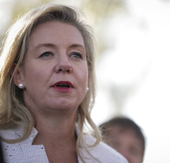 Eyes on the prize: Bridget McKenzie continues to contemplate a switch from the Senate to the House of Representatives via standing for the seat of Indi.