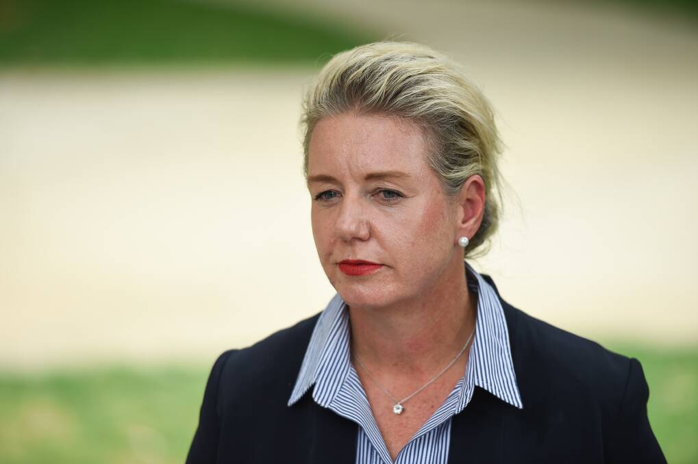 Upset: Former minister Bridget McKenzie was annoyed when a Greens senator used the word 'rorting' in a question put to her during a hearing into a grants program in Canberra on Friday.