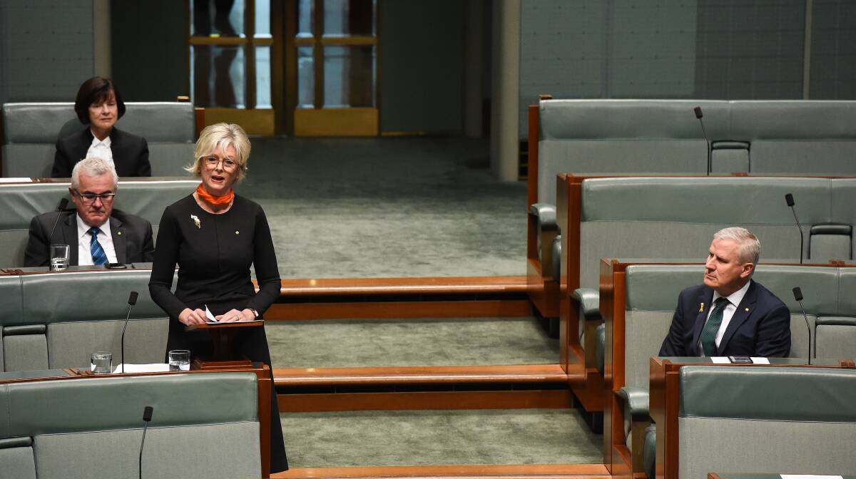 Under fire: Member for Indi Helen Haines speaks in parliament. She has been accused of being a Labor stooge in a Liberal Party advertisement that's been in newspapers circulating across the North East, including The Border Mail.