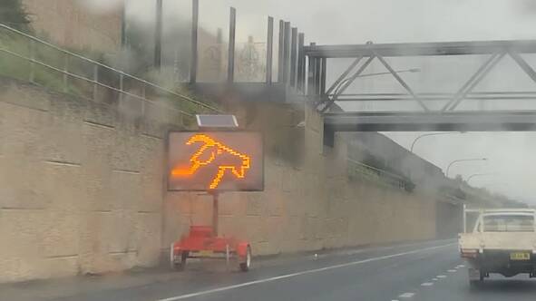 Head turner: The goat's head image on a display board that had motorists bemused as they travelled south on the Hume Freeway in Albury. It was meant to be displaying COVID information. Picture: MARK JESSER