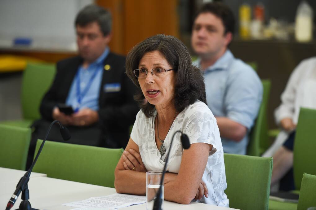 Call to action: Lizette Salmon urges MPs to be more vocal about climate change as Wodonga Upper House MP Tim Quilty, in the gallery, looks at his phone. The Liberal Democrat was an observer at the Wangaratta hearing conducted by a Lower House committee. Picture: MARK JESSER
