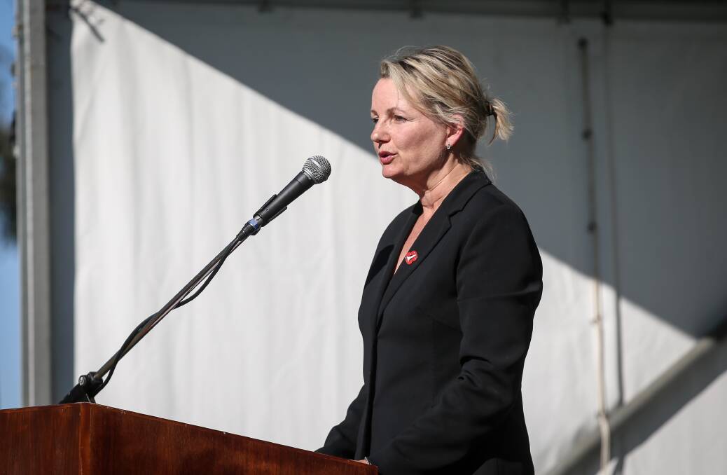 Reflecting: Sussan Ley used much of her speech to talk of what unfolded on November 11, 1918, from early morning final negotiations to an eerie silence that night. Picture: JAMES WILTSHIRE 