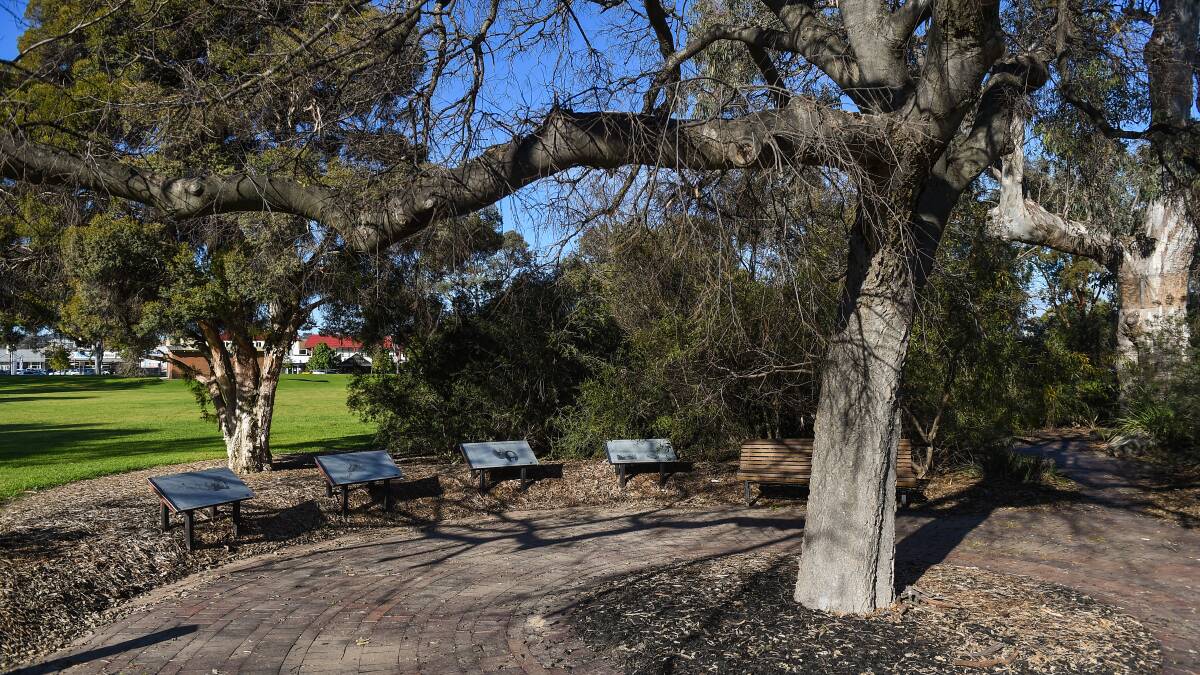 Ideal spot: Liz Heta believes the Hovell Tree commemorative area would be a worthy location to showcase the circumstances in which Albury was surveyed. Picture: MARK JESSER