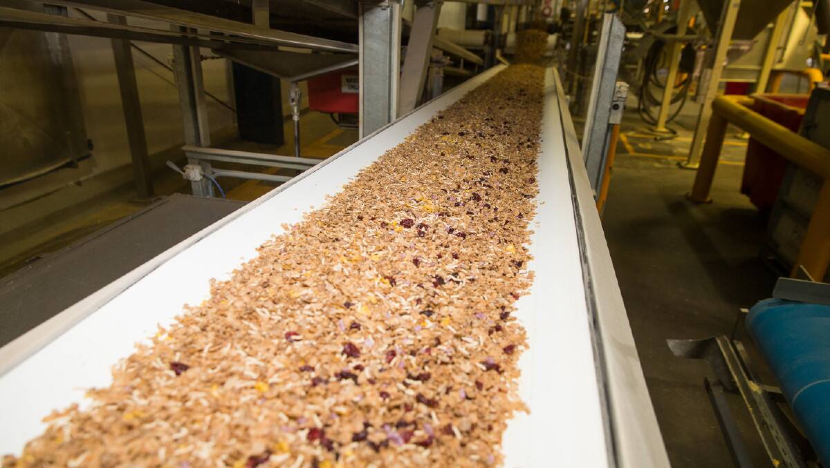 Long line of ingredients: A conveyer belt moves along pieces before they are packaged in bags and cereal boxes. Picture: NESTLE
