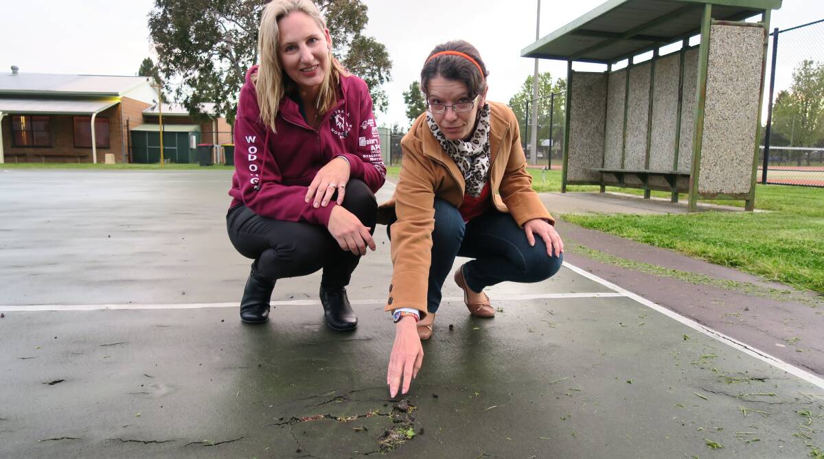Breaking up: Netball association representative Katrina Donelan and council candidate Veronique Janel with a crumbling court at Kelly Park.