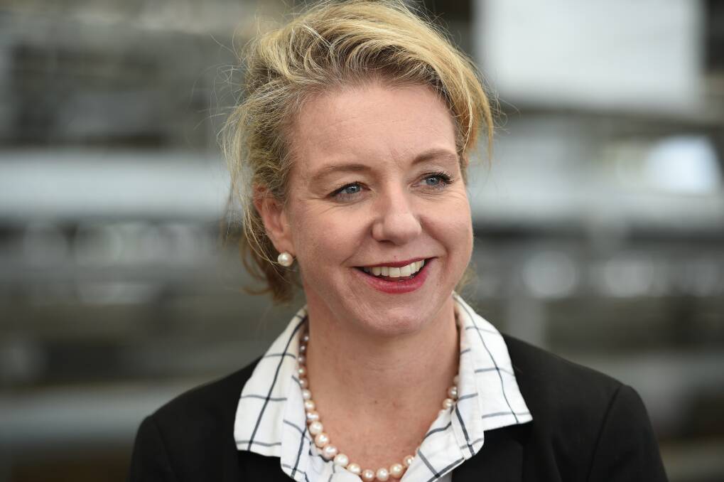 Defiant: Senator Bridget McKenzie has rejected calls for her to resign over the sports rorts affair that unfolded while she was in charge of distributing community grants. 