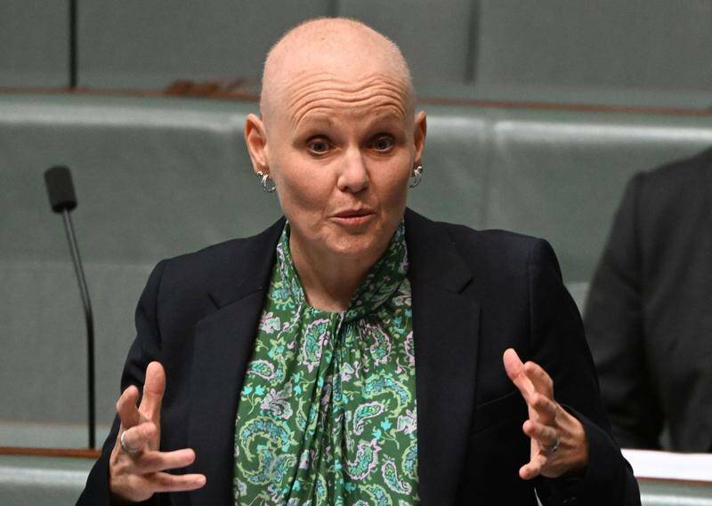 Late Labor Party MP Peta Murphy addresses the House of Representatives. Eulogies have been given to her by the Border's Lower House politicians. Picture from AAP