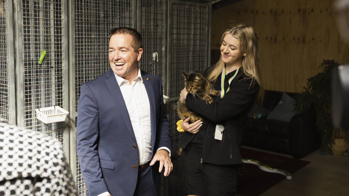 NSW Deputy Premier Paul Toole meets animal carer Ashlee Thomas and Tiger the rescue cat at Albury's pound on Friday. Picture by Ash Smith.