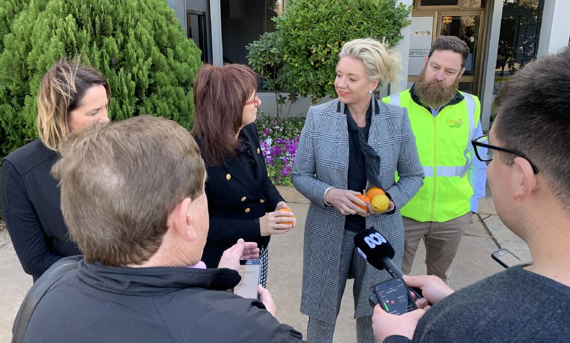 Unhappy: Bridget McKenzie with citrus at a media event in Mildura last year attended by the ABC. She is upset the public broadcaster is dropping its 7.45am radio bulletin.