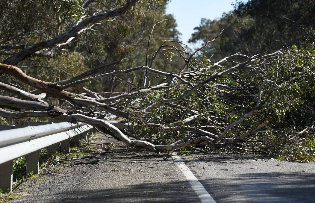 Fallout: Branches covered half the roadway on the Beechworth-Wangaratta route after being brought down by the impact of a car crash on Tuesday. Picture: MARK JESSER
