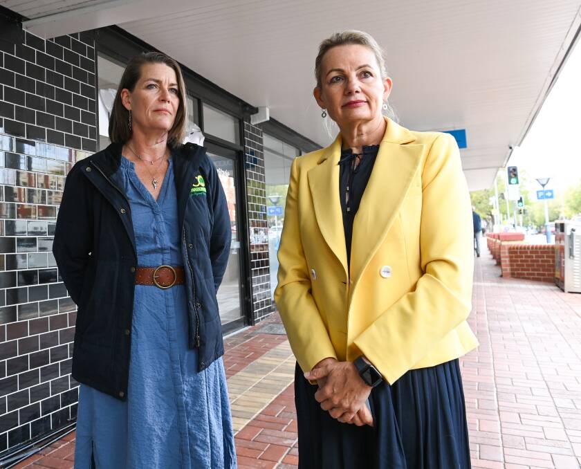 Double act: Senator Perin Davey and Sussan Ley at the latter's election campaign launch in Albury in early May. Picture: MARK JESSER
