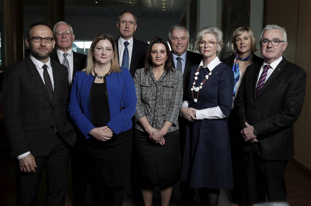 Making a stand: Federal crossbench MPs from the Senate and House of Representatives, including the member for Indi Helen Haines joined with former Victorian Supreme Court judge David Harper in Parliament House on Wednesday to call for a national integrity committee. Picture: NINE 