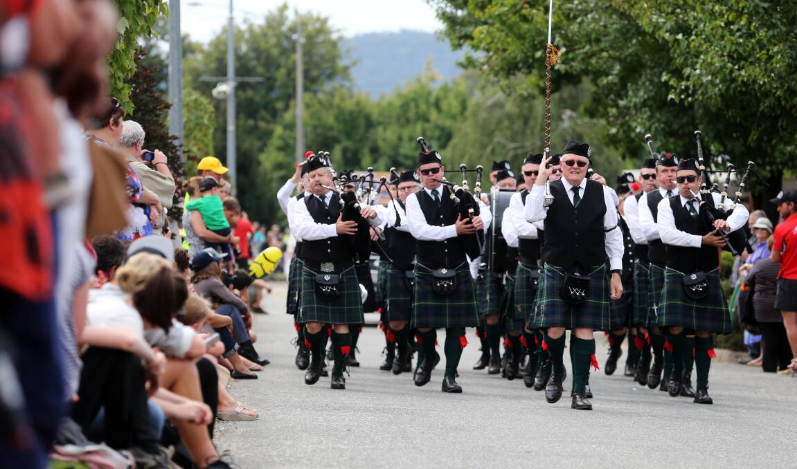 On parade: The Albury Wodonga Pipes and Drums band march through Myrtleford during the town's annual festival.