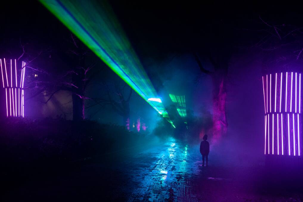 Long line: The pathway next to the avenue of elms in the botanic gardens has two beams acting as a virtual ceiling as part of Aurora Albury. Picture: SOPHIE HUNTER