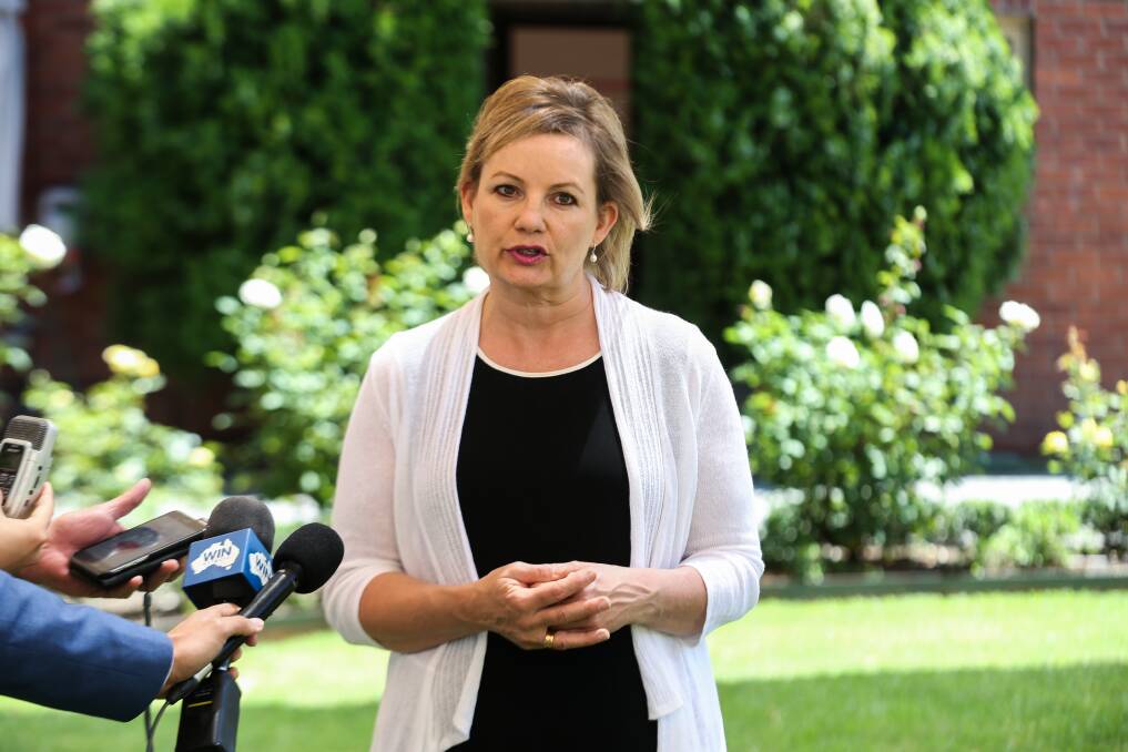 Warned: Sussan Ley has been urged to tone down her rhetoric about independents and Labor by member for Indi Cathy McGowan. 