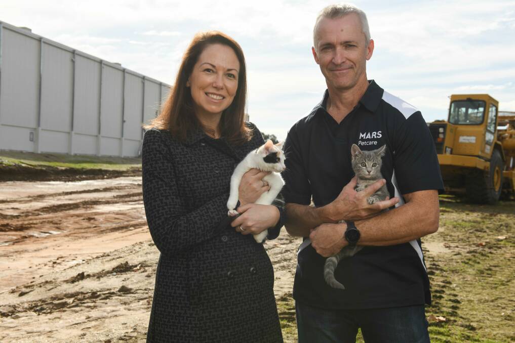 Jaclyn Symes and Brett Brown hold Trixie and Kirra respectively. The kittens were born at the end of March and came from Albury Wodonga Animal Rescue. Picture by Tara Trewhella