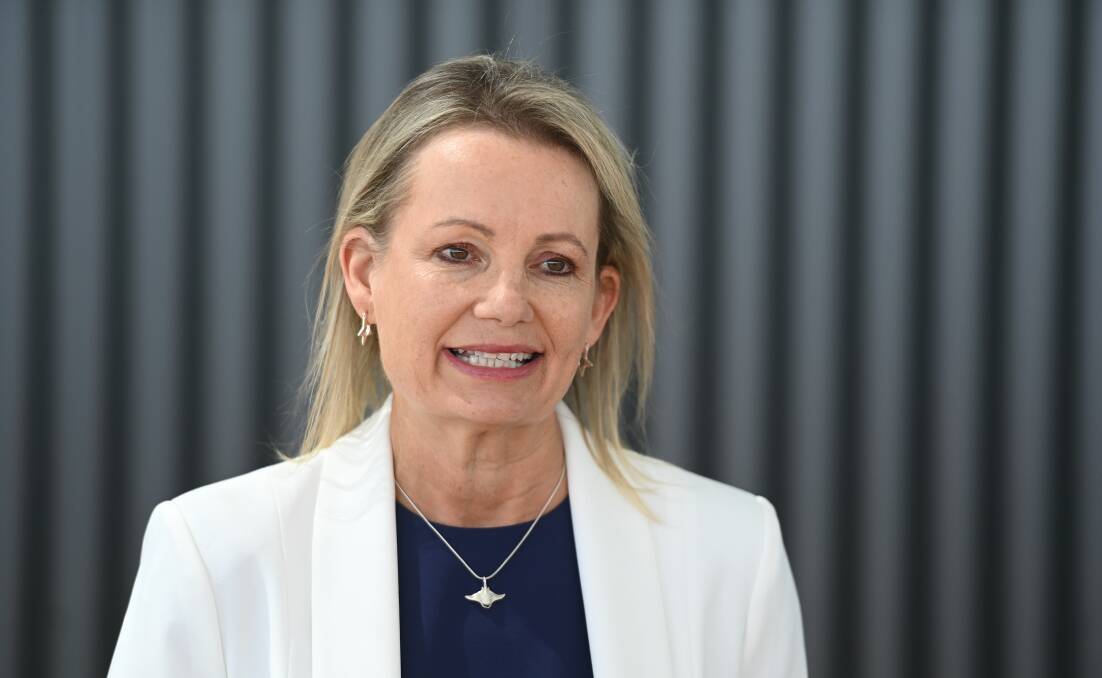 Hit a wall: Member for Farrer Sussan Ley has her application to obtain the Albury-Wodonga hospital master plan rejected by the Victorian health department.