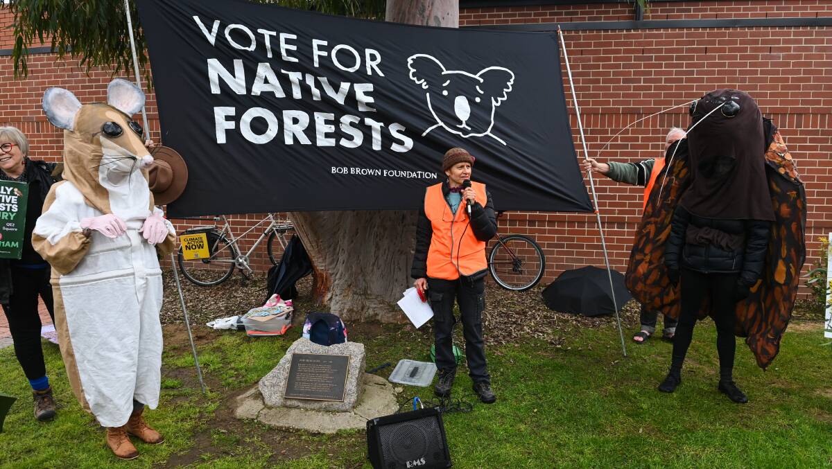 A costumed possum and moth hold a banner as Rachel Buchan speaks at Saturday's protest. Picture by Mark Jesser